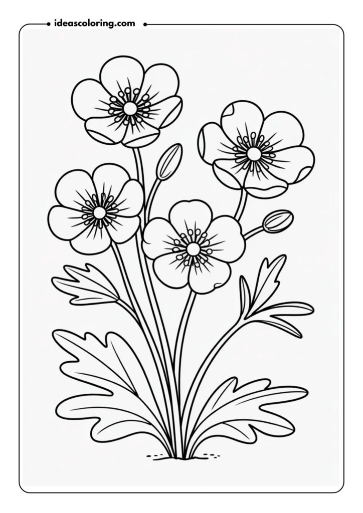 Buttercup Cluster A few buttercup flowers, each with rounded petals, resting on delicate stems and leaves, forming a simple yet charming cluster