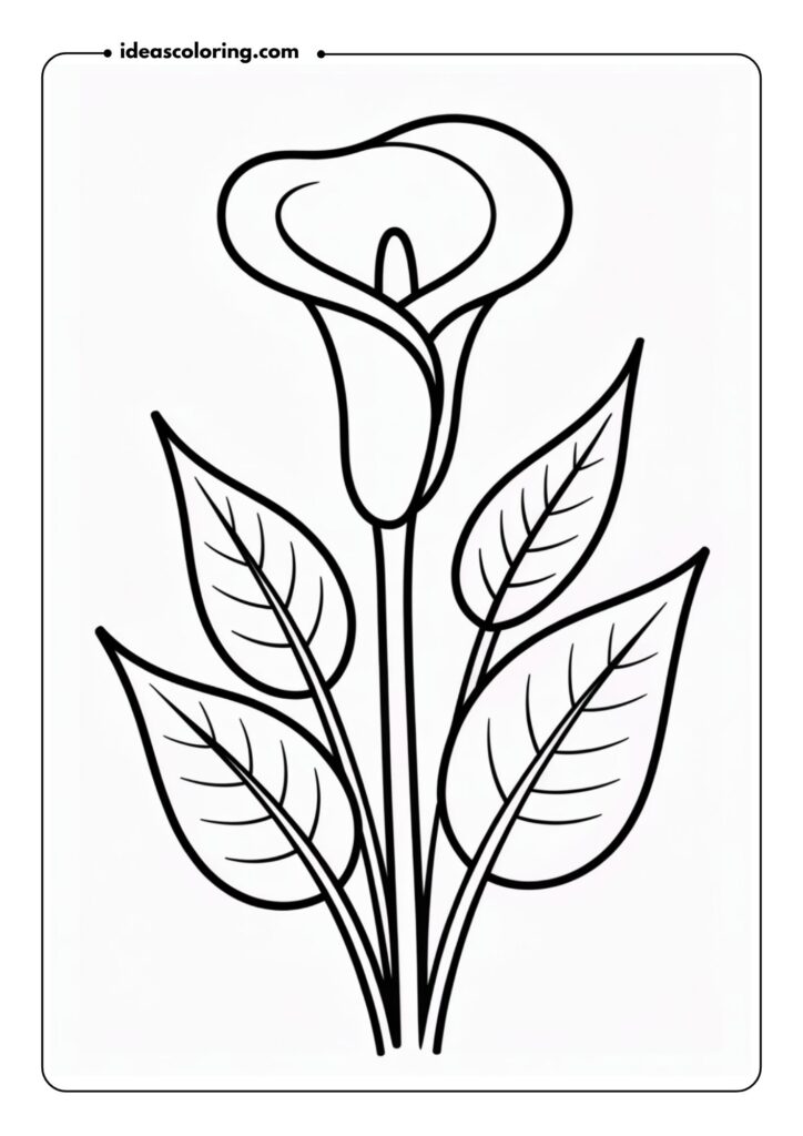 Calla Lily Design A sleek, elegant calla lily with its curved petals forming a distinct trumpet shape, surrounded by long, narrow leaves