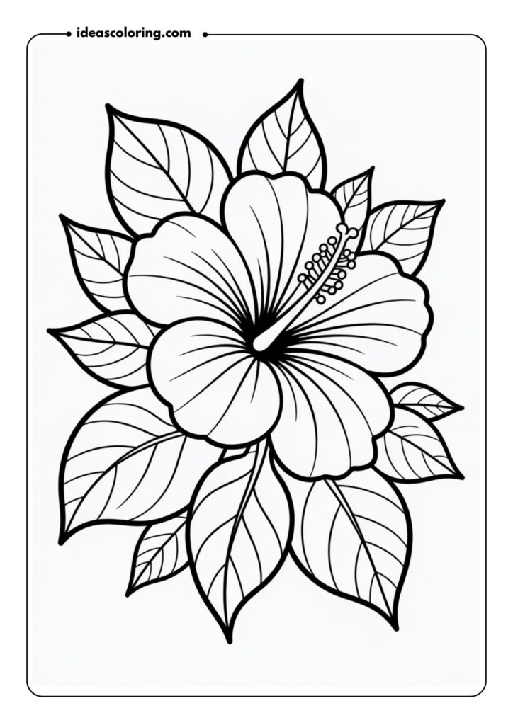 Hibiscus Flower A large, detailed hibiscus with its five large petals, long pistils, and leaves surrounding it, featuring a textured center