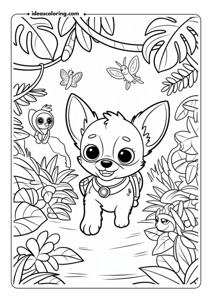 Jungle Expedition