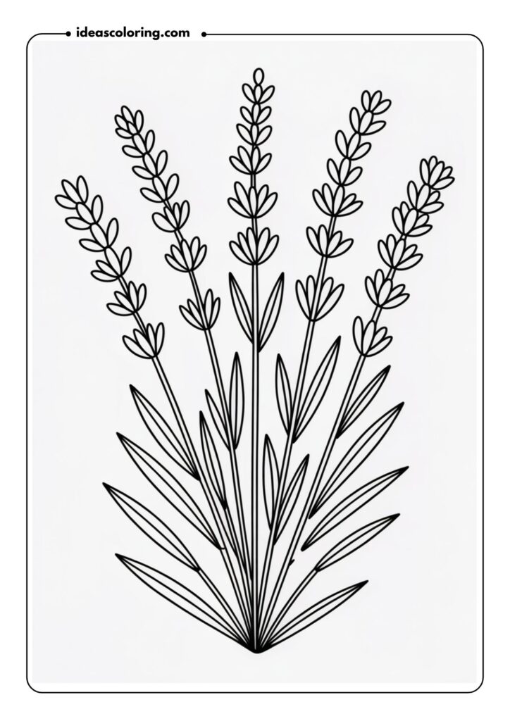 Lavender Sprigs A bunch of lavender sprigs with tall, narrow flowers and slender leaves, creating a simple yet calming image