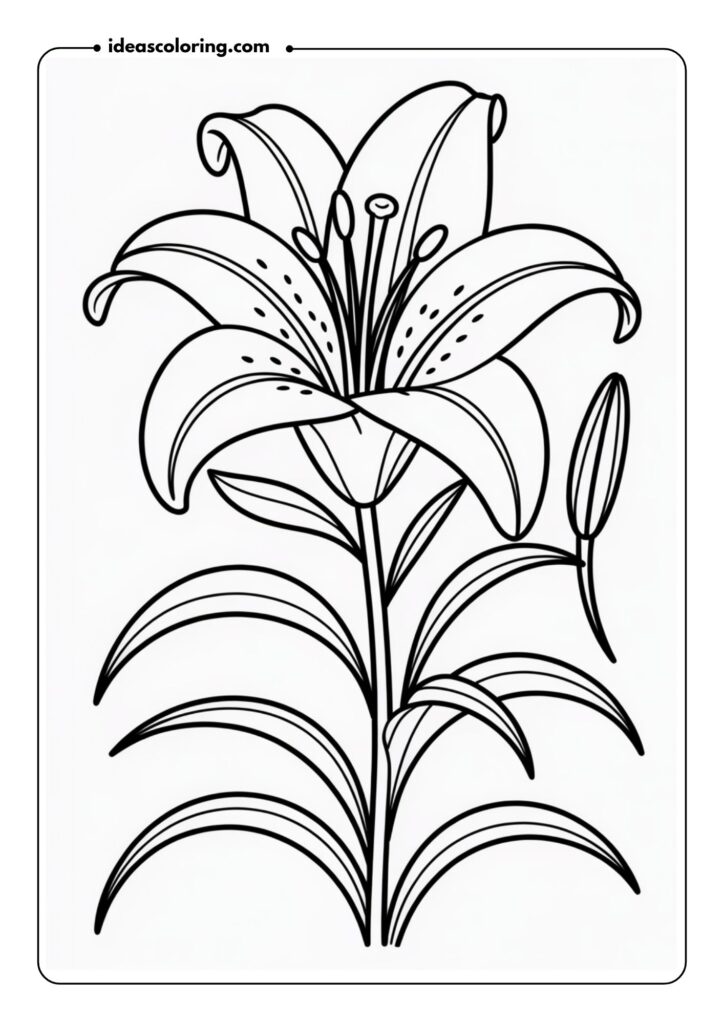 Lily in Full Bloom A graceful lily with long, elegant petals and flowing curves, accented with delicate veins and surrounding foliage