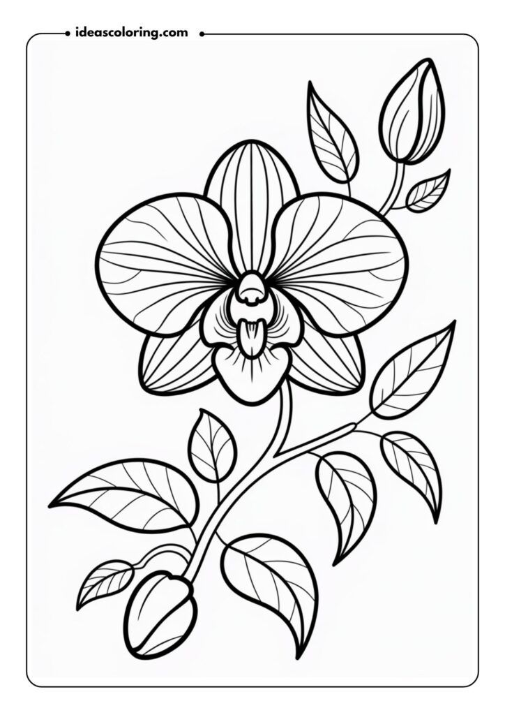 Orchid Design An elegant orchid flower with curved, pointed petals and a central structure, surrounded by delicate tendrils and leaves