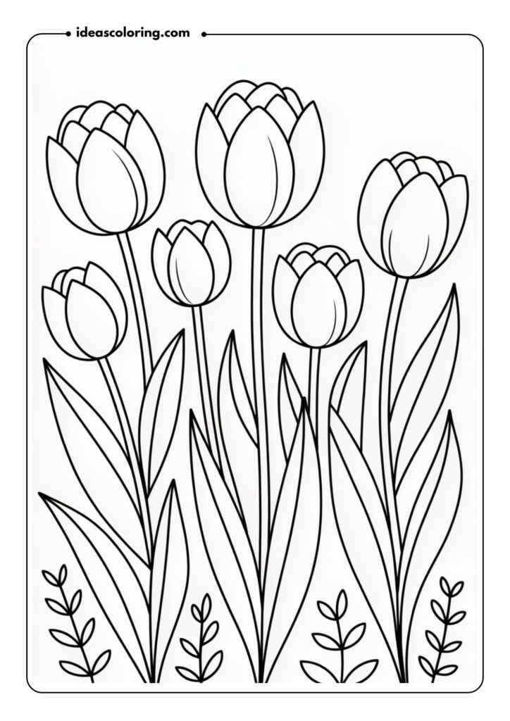 Tulip Garden A row of tulips with smooth petals, each flower at different stages of bloom, set against leaves and small shoots