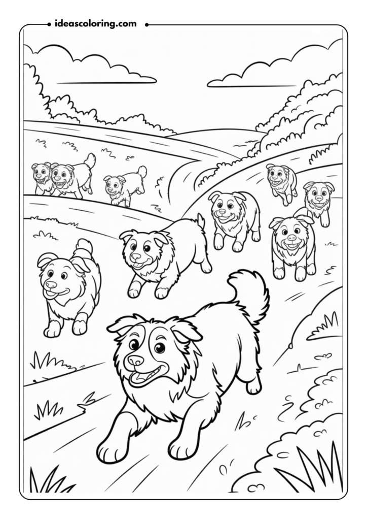 Border Collie Herding Scene