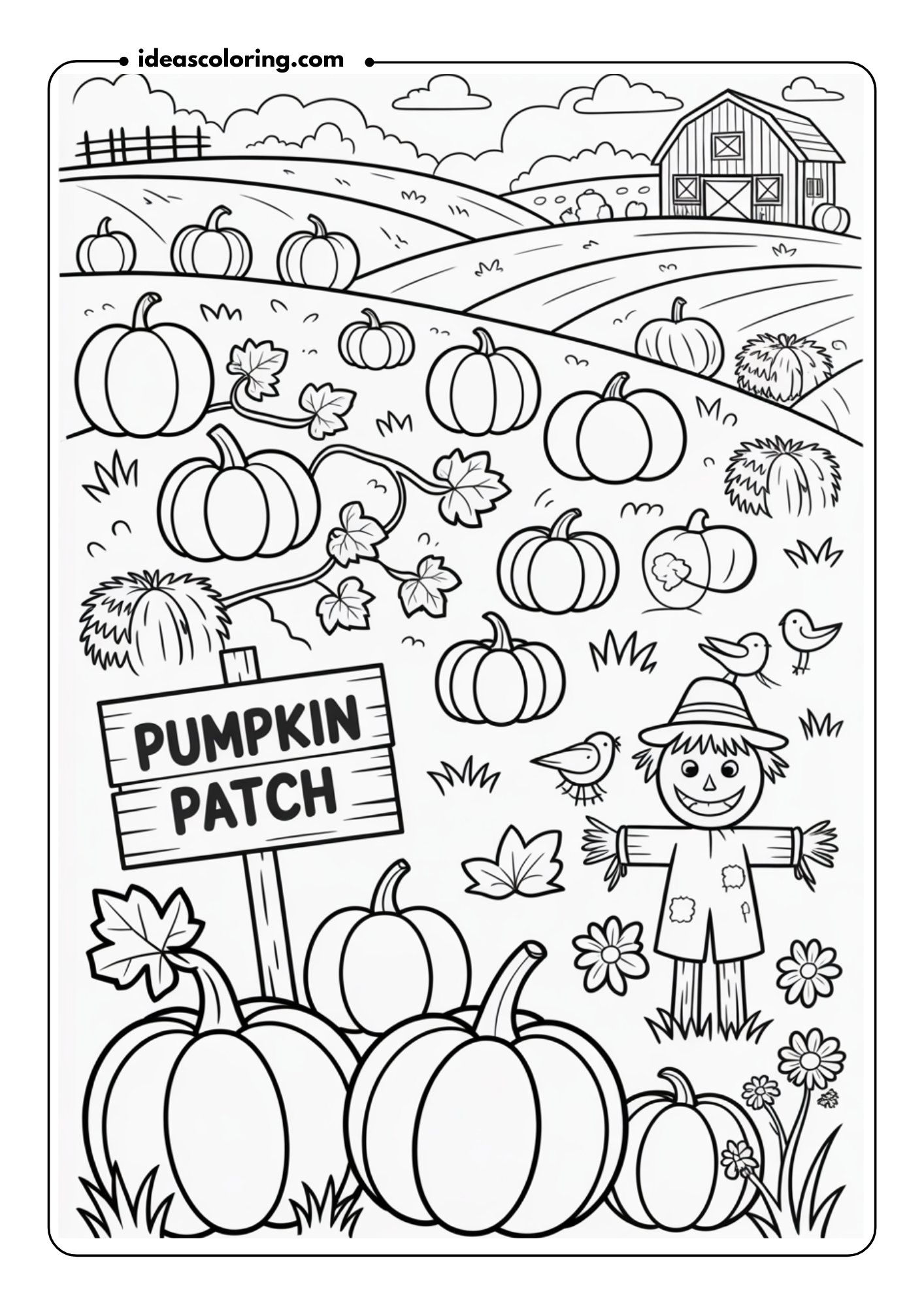 Pumpkin Patch Adventure